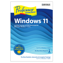 Individual Software Professor Teaches, 2024, For 1 Device, Windows 11, Download