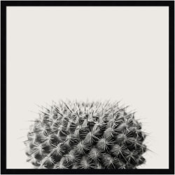 Amanti Art Haze Cactus Succulent by The Creative Bunch Wood Framed Wall Art Print, 25"H x 25"W, Black