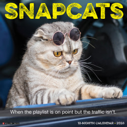 2026 Willow Creek Press Humor & Comics Monthly Wall Calendar, 12" x 12", Snapcats, January To December, 52853