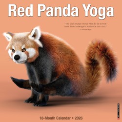 2026 Willow Creek Press Animals Monthly Wall Calendar, 12" x 12", Red Panda Yoga, January To December, 56073