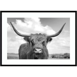 Amanti Art Highland Cow On the Ranch by Andre Eichman Wood Framed Wall Art Print, 30"H x 41"W, Black