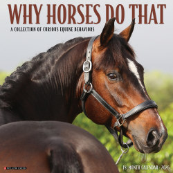 2026 Willow Creek Press Animals Monthly Wall Calendar, 12" x 12", Why Horses Do That, January To December, 53263