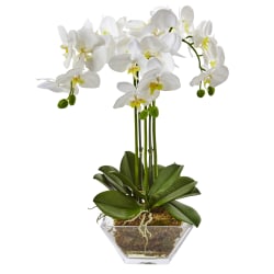 Nearly Natural 22"H Artificial Triple Phalaenopsis Orchid With Glass Vase, White/Clear