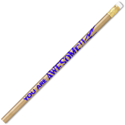 J.R. Moon Pencil Co. Pencils, HB #2/Medium, You Are Awesome!, Multicolor, Pack Of 144 Pencils