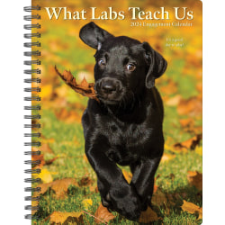 2024 Willow Creek Press Weekly Engagement Planner, 6-1/2" x 8-1/2", What Labs Teach Us, January To December