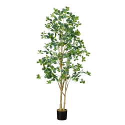 Nearly Natural 6’ Artificial Black Olive Tree, 72"H x 24"W x 24"D, Black/Green