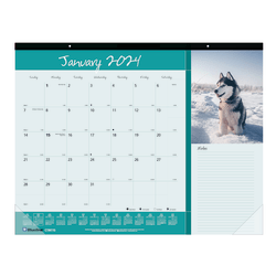 2024 Blueline® Colorful Monthly Desk Pad Calendar, 22" x 17", Man's Best Friend, January To December 2024 , C194116