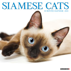 2025 Willow Creek Press Monthly Wall Calendar, 12" x 12", Siamese Cats, January 2025 to December 2025, 44889