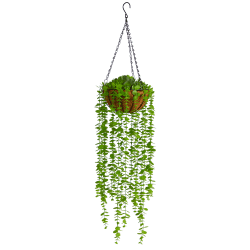 Nearly Natural Eucalyptus 36"H Artificial Plant With Hanging Basket, 36"H x 8"W x 8"D, Green/Brown