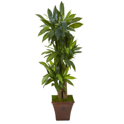 Nearly Natural Corn Stalk Dracaena 57"H Artificial Plant With Stand Planter, 57"H x 24"W x 24"D, Green/Brown