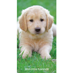 2025 Willow Creek Press 2-Year Monthly Checkbook/Calendar, 3-1/2" x 6-1/2", Puppy Love, January 2025 To December 2026, 47088