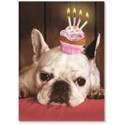 Viabella Fun Birthday Greeting Card With Envelope, Cupcake Dog, 5" x 7"