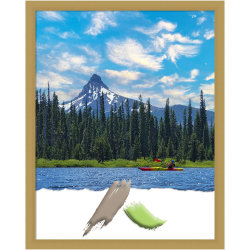 Amanti Art Grace Narrow Picture Frame, 24" x 30", Opening Size 22" x 28", Brushed Gold