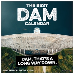 2026 Willow Creek Press Art & Design Monthly Wall Calendar, 12" x 12", The Best Dam Calendar, January To December, 56189