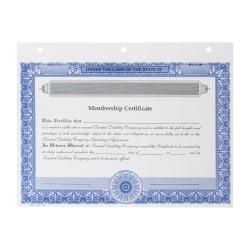 LLC Membership Certificates, Non-Personalized, 3-Hole Punched, 8 1/2 x 11", Blue, Box Of 20