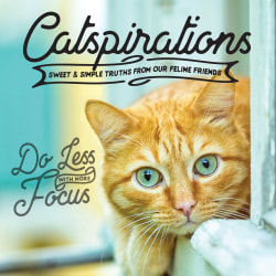 Willow Creek Press 5-1/2" x 5-1/2" Hardcover Gift Book, Catspirations