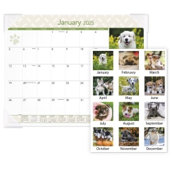 2025 AT-A-GLANCE® Puppies Monthly Desk Pad, 21-3/4" x 17", Animals, January 2025 To December 2025, DMD16632