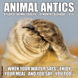 2026 Willow Creek Press Humor & Comics Monthly Wall Calendar, 12" x 12", Animal Antics, January To December, 57735
