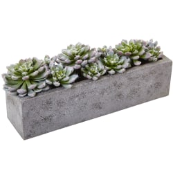 Nearly Natural Succulent 5-1/2"H Plastic Garden With Textured Concrete Planter, 5-1/2"H x 13-1/2"W x 4-1/2"D, Green