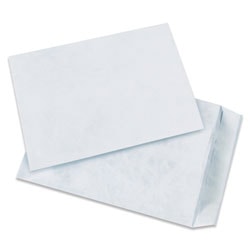 Tyvek® Envelopes, 10" x 15", End Opening, Plain White, Pack Of 100