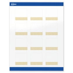 Avery® Printable Labels With Sure Feed® Technology, S00-EWR, Square, 2" x 2", Glossy White With Preprinted Gold Lace Trim Pattern, Pack Of 120