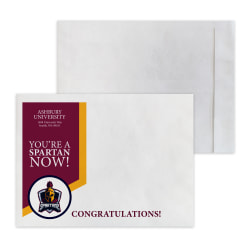 Zip Stick®,  White DuPont™ Tyvek® Open End Catalog Mailing Envelopes, Full-Color, Custom 9" x 12", Box Of 500