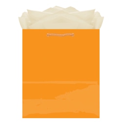 Amscan Glossy Gift Bags, Medium, Orange, Pack Of 10 Bags