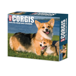 2026 Willow Creek Press Page-A-Day Daily Desk Calendar, 6-1/4" x 5-1/2", Corgis, January To December, 54079