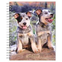 2023-2024 BrownTrout 16-Month Weekly/Monthly Engagement Planner, 7-3/4" x 7-3/16", I Love Puppies, September To December