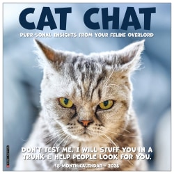 2026 Willow Creek Press Humor & Comics Monthly Wall Calendar, 12" x 12", Cat Chat, January To December, 55700