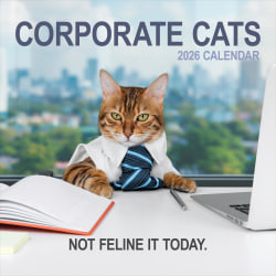 2026 TF Publishing Humor Monthly Wall Calendar, 12" x 12", Corporate Cats, January To December