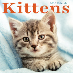 2026 TF Publishing Animals Monthly Wall Calendar, 12" x 12", Kittens, January To December