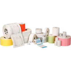 Zebra PolyPro 3000T Multipurpose Label - 1"x 2" - Permanent Adhesive - Rectangle - Thermal Transfer - 10023332