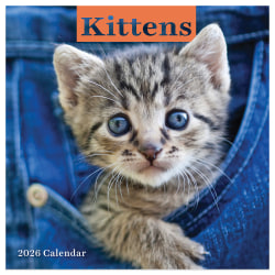 2026 TF Publishing Animals Mini Monthly Wall Calendar, 7" x 7", Kittens, January To December