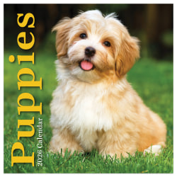 2026 TF Publishing Animals Mini Monthly Wall Calendar, 7" x 7", Puppies, January To December