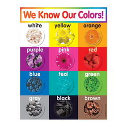 Scholastic Colors Chart
