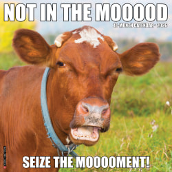 2026 Willow Creek Press Humor & Comics Monthly Wall Calendar, 12" x 12", Not in the Mooood, January To December, 52211