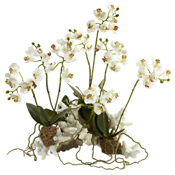 Nearly Natural Mini Phalaenopsis Orchids 14"H Plastic Plant Arrangement With Coral Base, 14"H x 13"W x 8-1/2"D, White