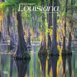 2024 Brown Trout Monthly Square Wall Calendar, 12" x 12", Louisiana Wild & Scenic, January To December