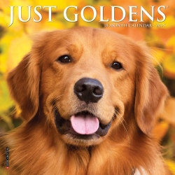 2025 Willow Creek Press Mini Wall Calendar, 7" x 7", Just Goldens, January 2025 To December 2025, 45794