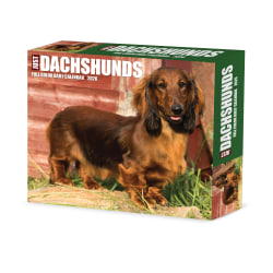 2026 Willow Creek Press Page-A-Day Daily Desk Calendar, 6-1/4" x 5-1/2", Dachshunds, January To December, 54093