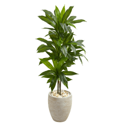 Nearly Natural Dracaena 48"H Artificial Real Touch Plant With Planter, 48"H x 18"W x 24"D, Green