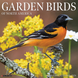 2026 Willow Creek Press Animals Monthly Wall Calendar, 12" x 12", Garden Birds, January To December, 51184