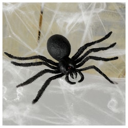 Amscan Big Spider And Web Favors, Black/White, Set Of 6 Favors