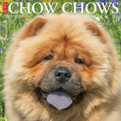 2026 Willow Creek Press Art & Design Monthly Wall Calendar, 12" x 12", Chow Chows, January To December, 50712