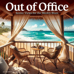 2026 Willow Creek Press Monthly Wall Calendar, 12" x 12", Out of Office, January To December, O56257
