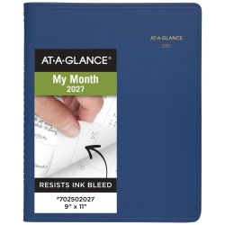 AT-A-GLANCE® 2027 15-Month Monthly Planner, Blue, Large, 9" x 11"