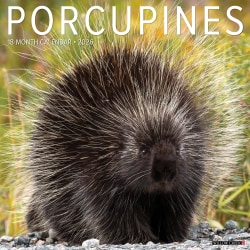 2026 Willow Creek Press Animals Monthly Wall Calendar, 12" x 12", Porcupines, January To December, 56066
