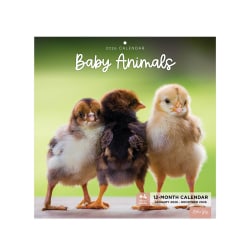 2026 Blue Sky Monthly Wall Calendar, 12" x 12", Baby Animals, January To December, 155225