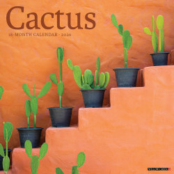 2026 Willow Creek Press Art & Design Monthly Wall Calendar, 12" x 12", Cactus, January To December, 50477